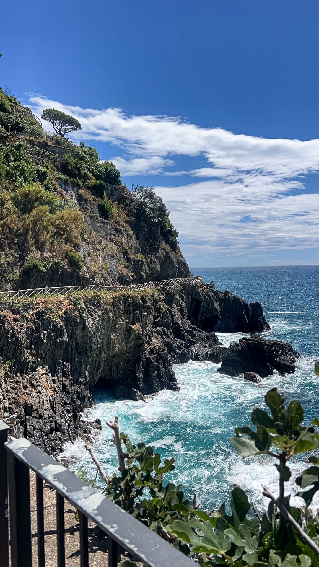 Cinque Terre cliffside trail above the Ligurian Sea